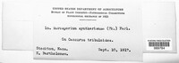 Image Associated With the Occurence